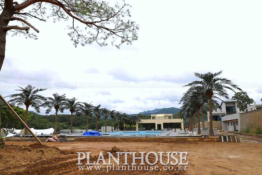 인조야자수 고급형