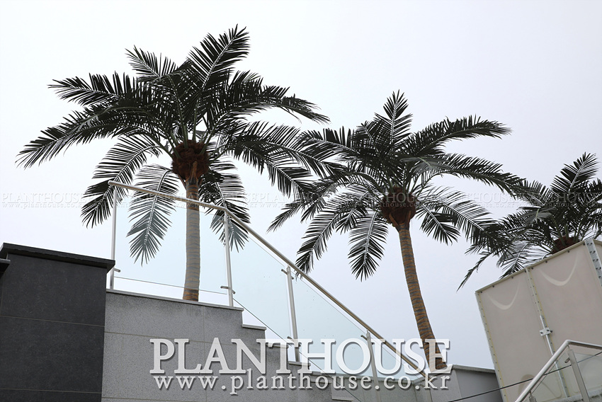 자연스러운 인조야자수 시공