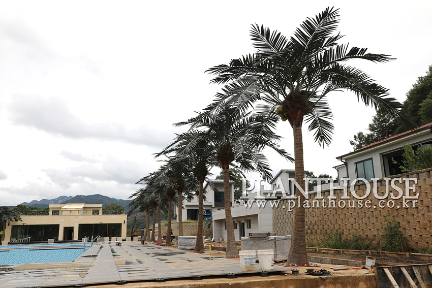 풀빌라 인조야자수 조경업체