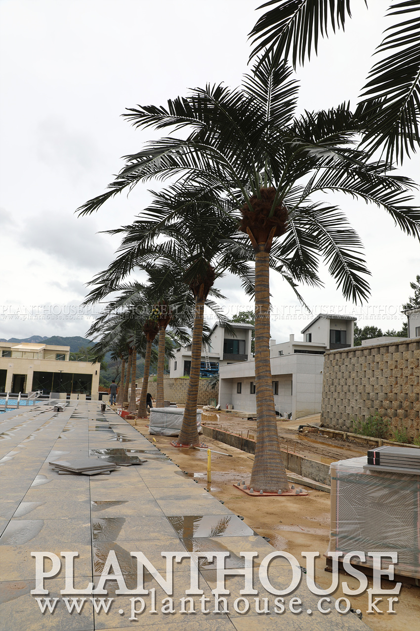 인조야자수 조경전문