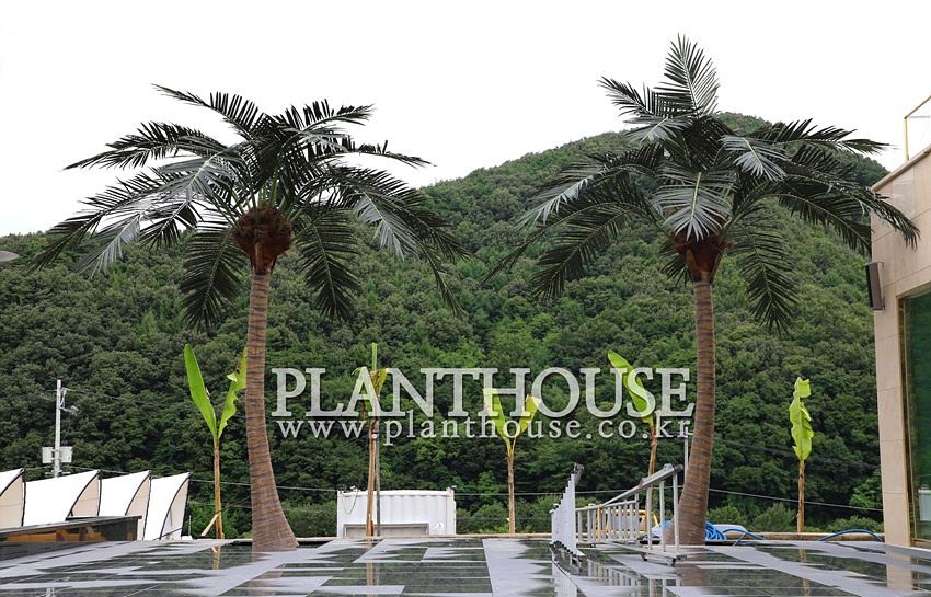 인조야자수 전문업체 플랜트하우스