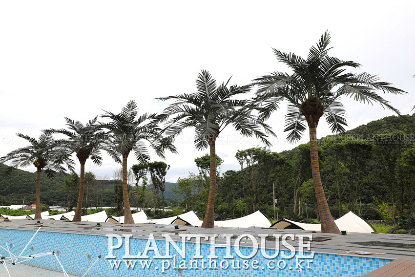 풀빌라 인조야자수 조경 연출