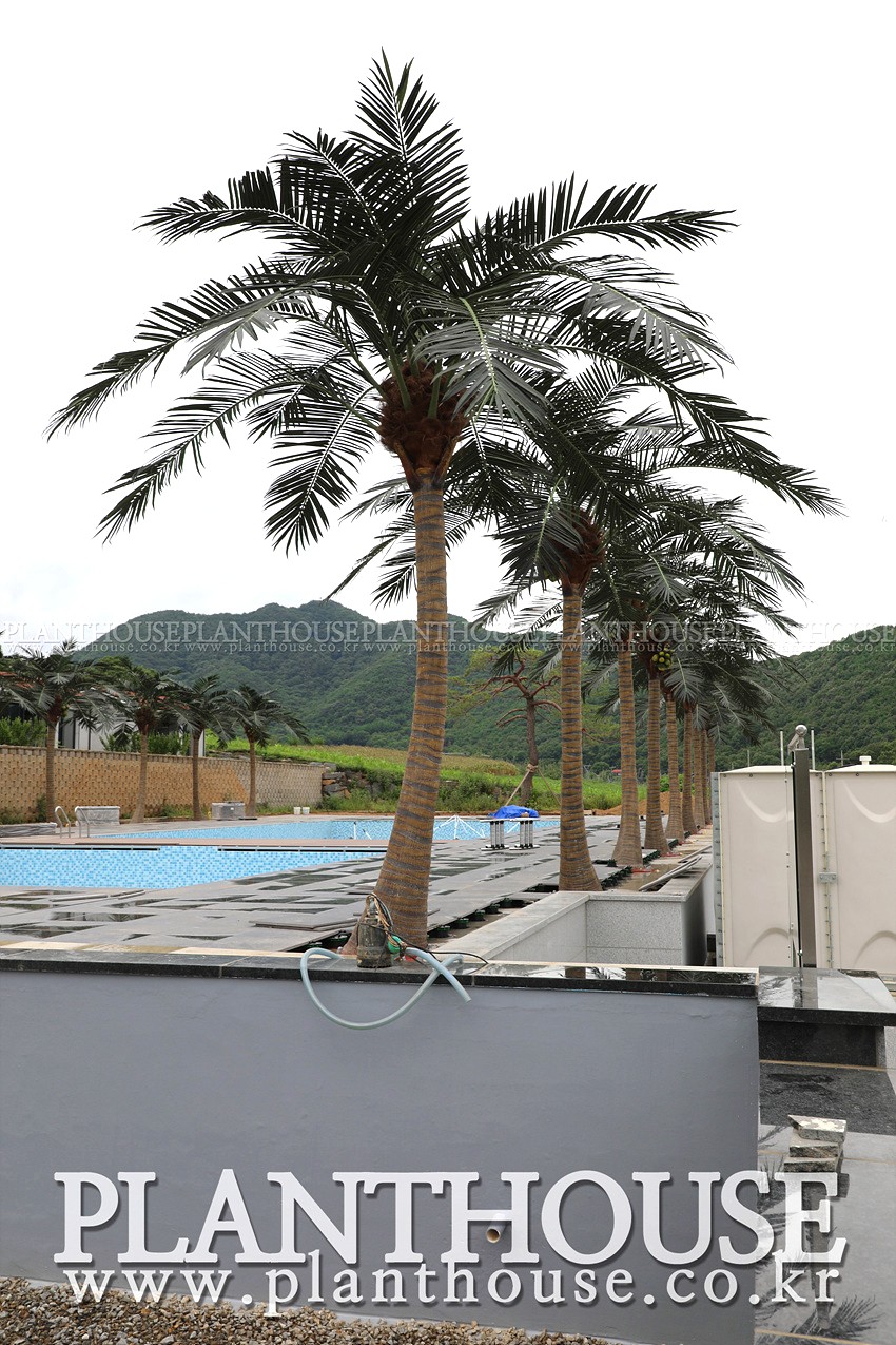 고급형 인조야자수