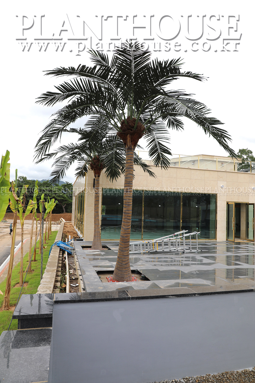 고급형 인공야자수