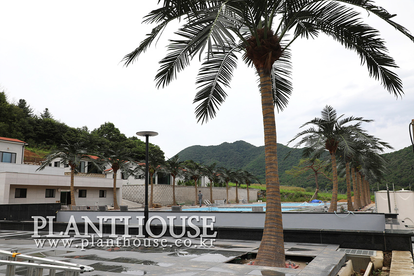 풀빌라에 설치한 인조야자수