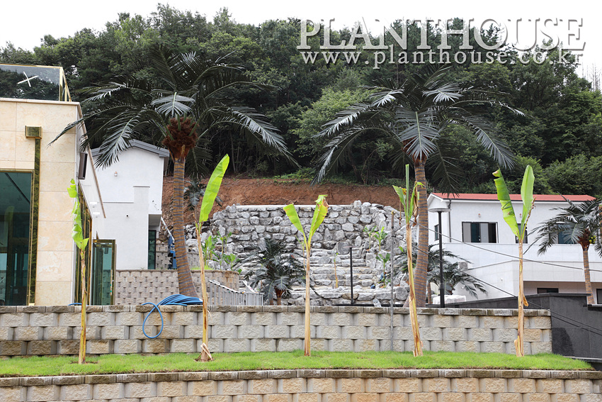 인공야자수 제작 전문