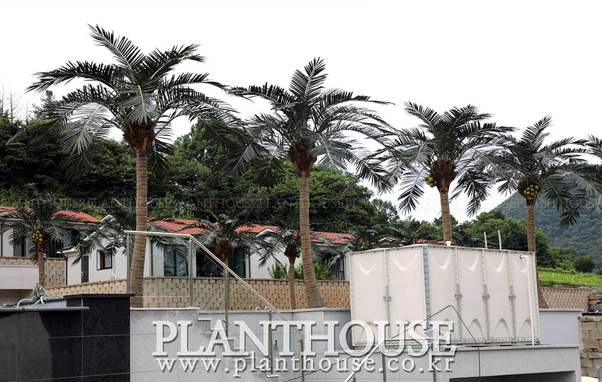 인공야자수 설치 전문