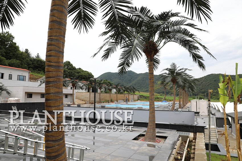 인공야자수 시공 전문