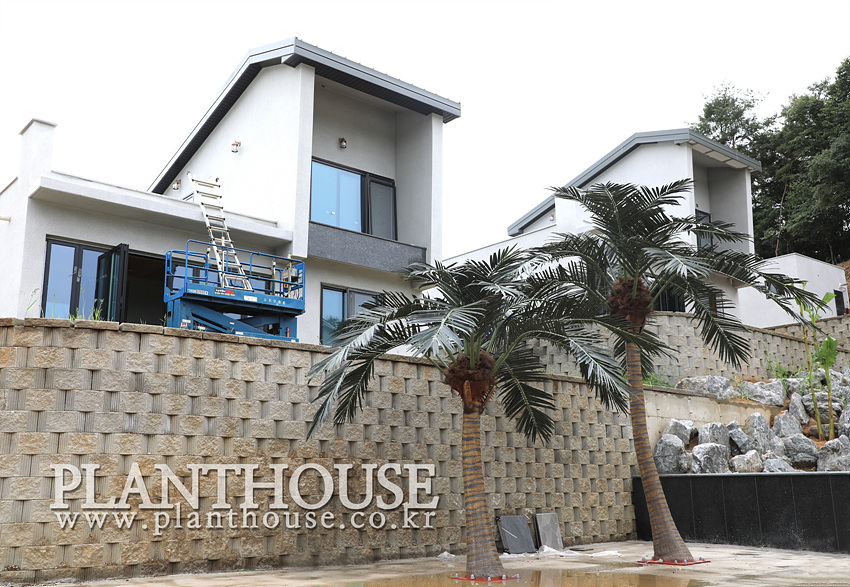 인공야자수 실외조경
