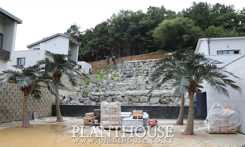 인조야자수 플랜테리어