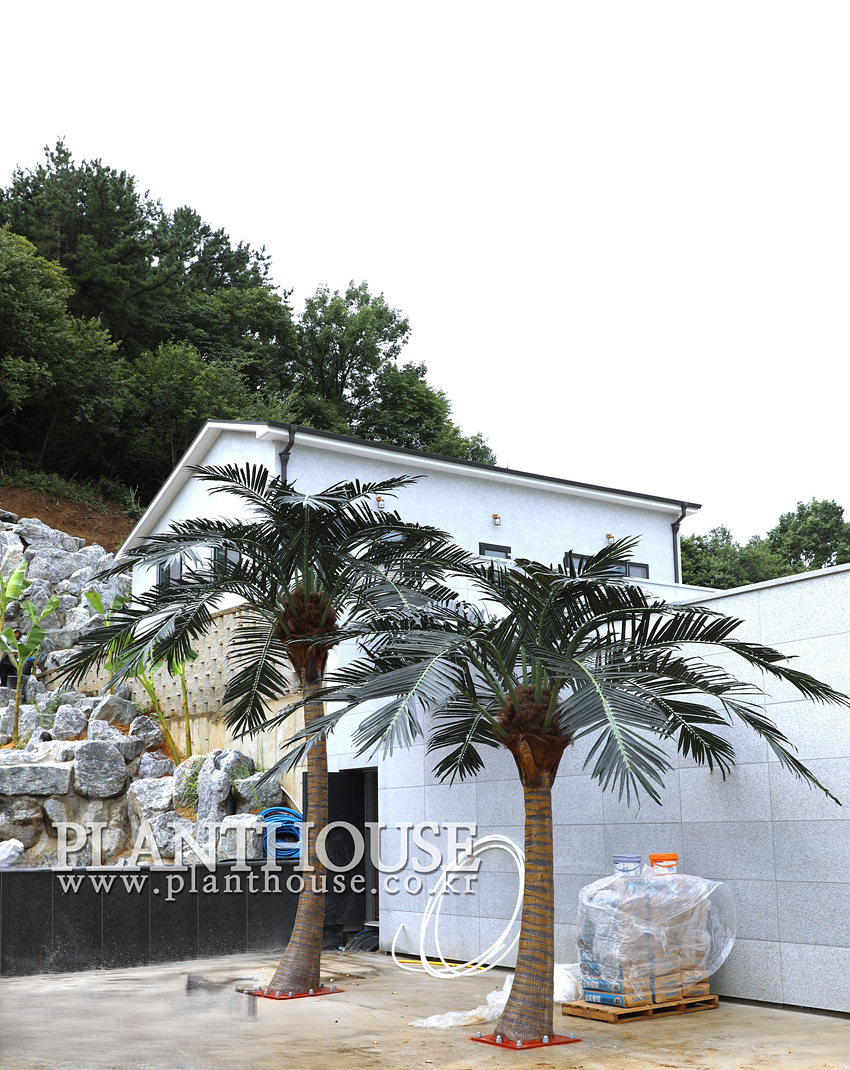 인공야자수 플랜테리어