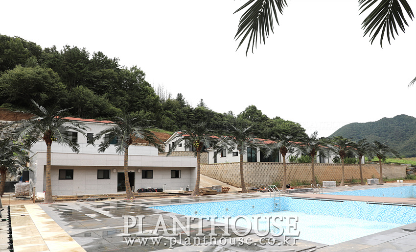 풀빌라에 연출한 인조야자수