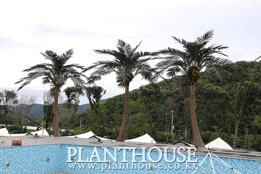 펜션 인공야자수 조경