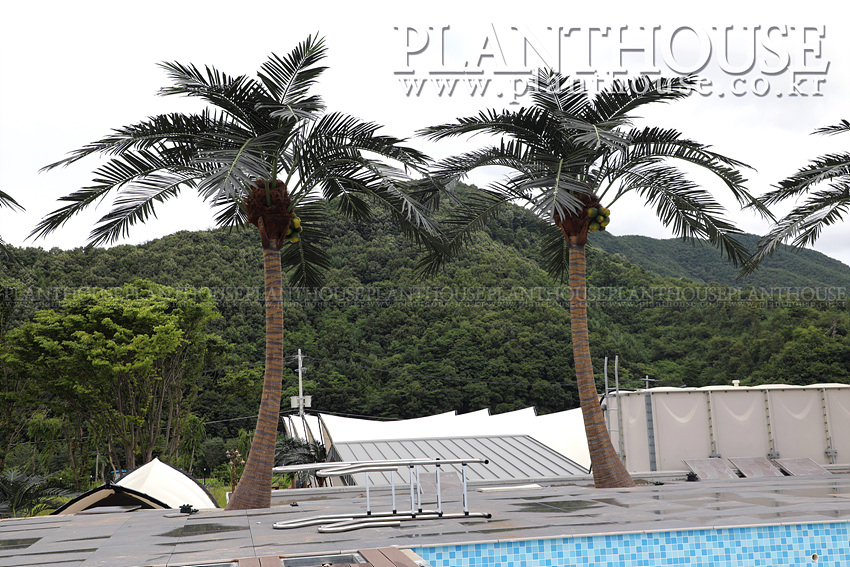 시공 후 만족도 높은 인조야자수 고급형