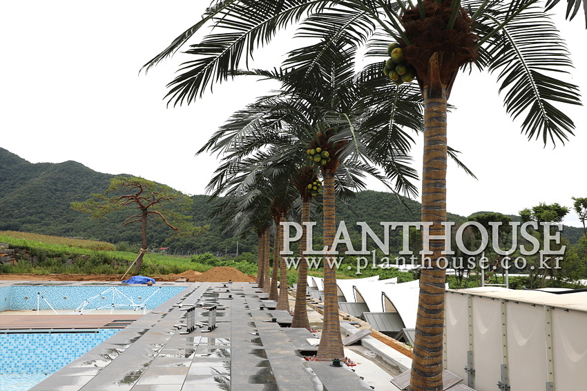 시공 후 만족도 높은 고급형 인조야자수