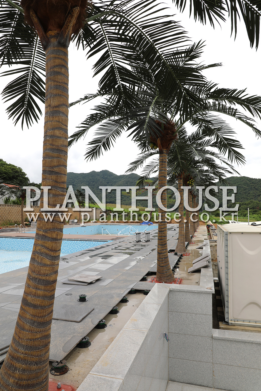 인조야자수 전문 플랜트하우스