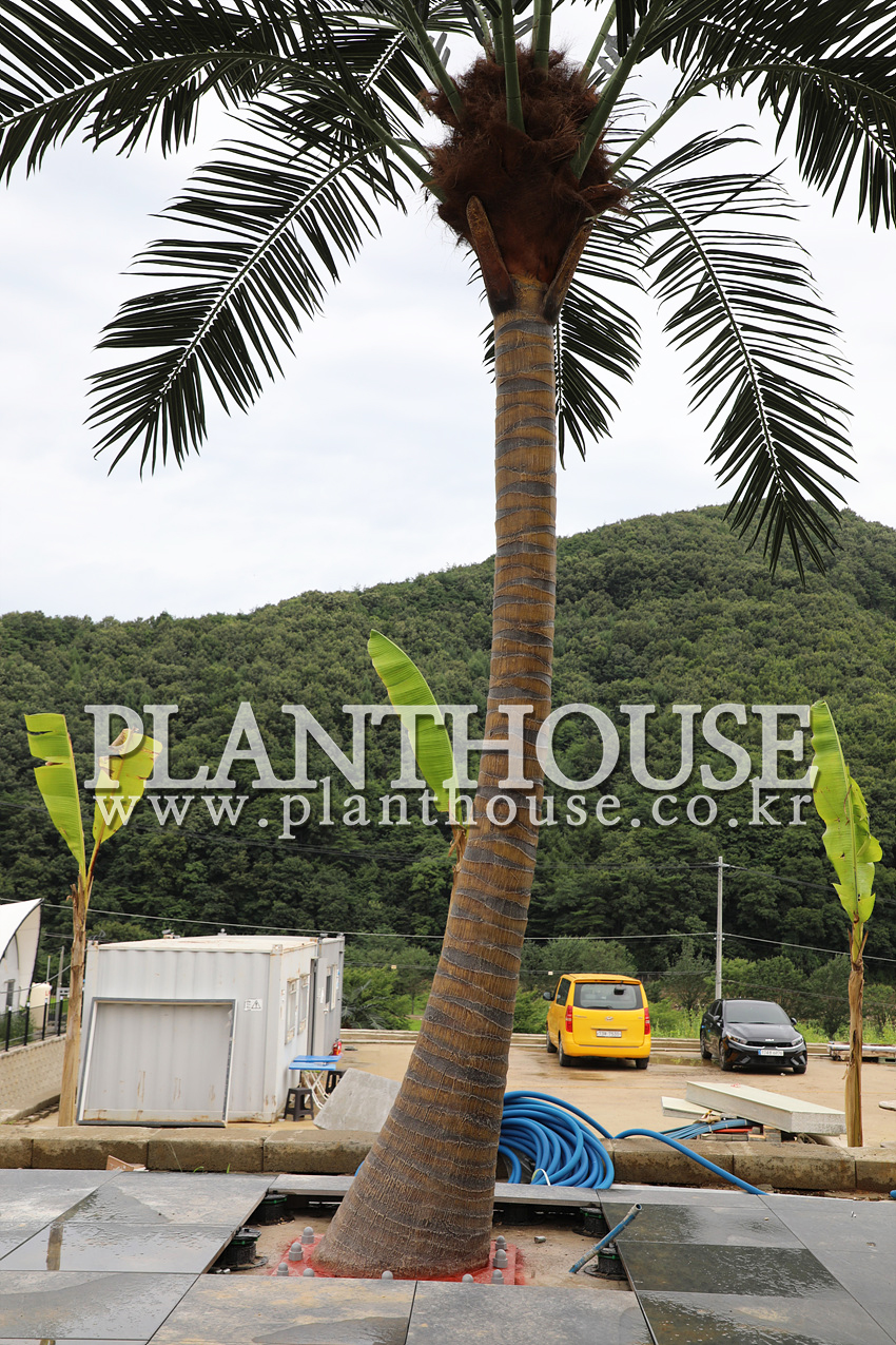 풀빌라 인공야자수 설치