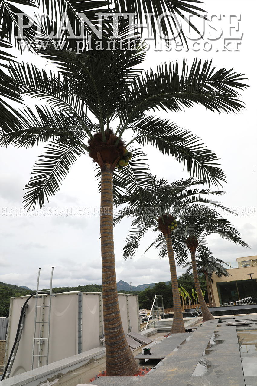 풀빌라 인조야자수 조경