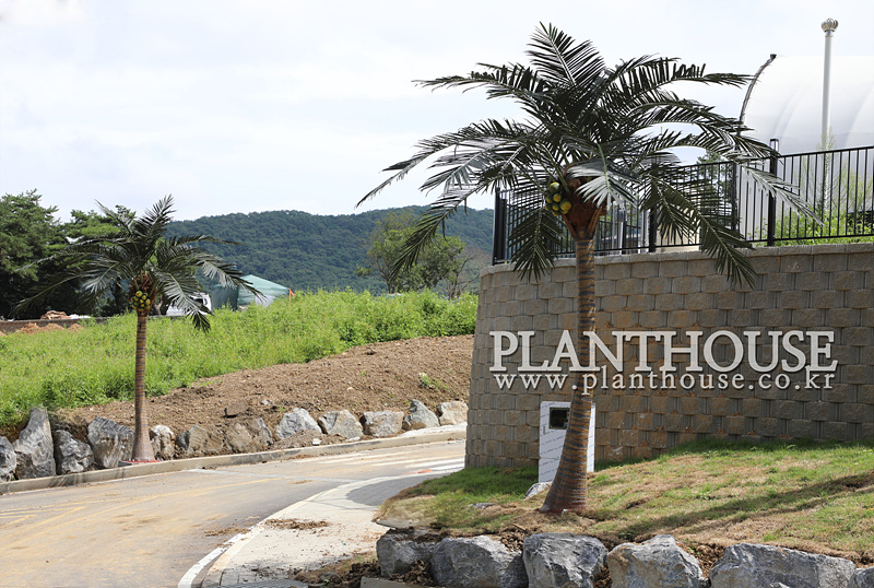 글램핑장에 설치한 고급형 인공야자수