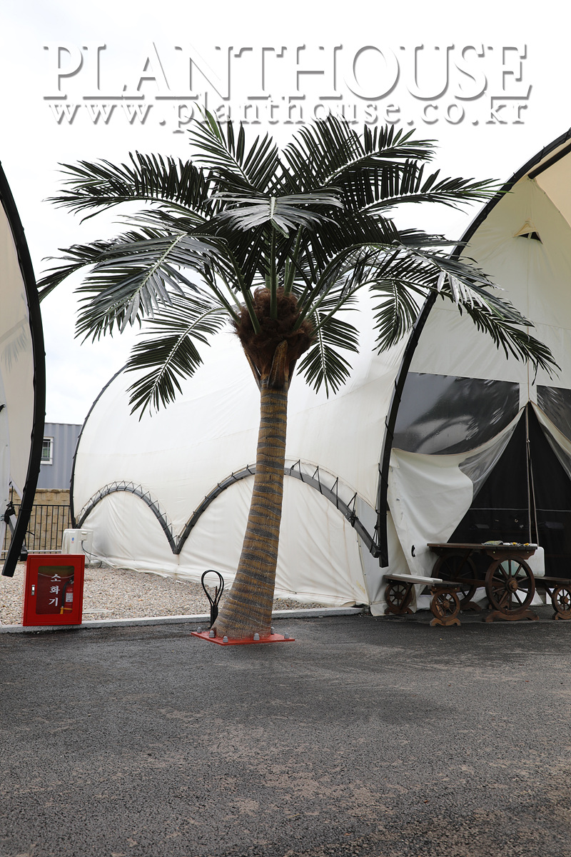 이국적인 분위기를 연출하는 고급형 인조야자수