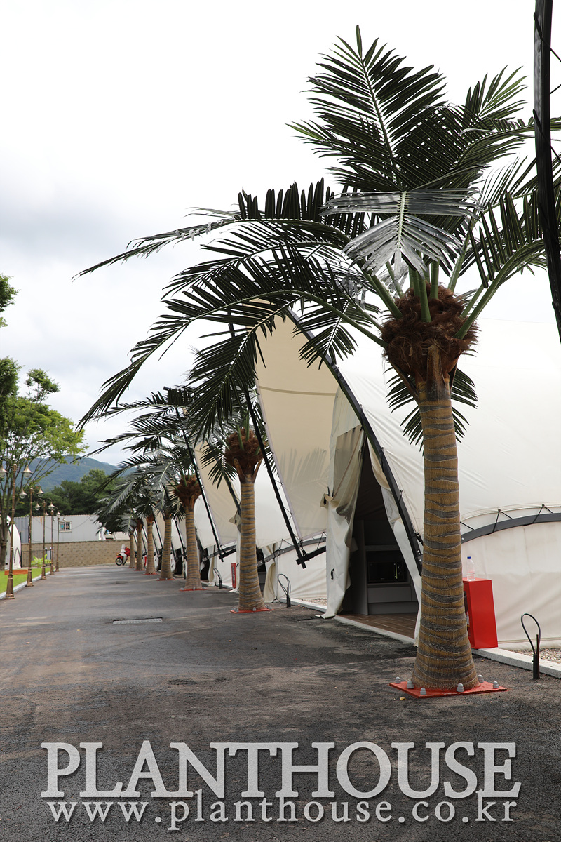 풀빌라 인조야자수 조경 연출