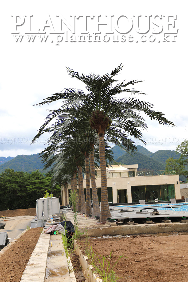 펜션 인조야자수 조경