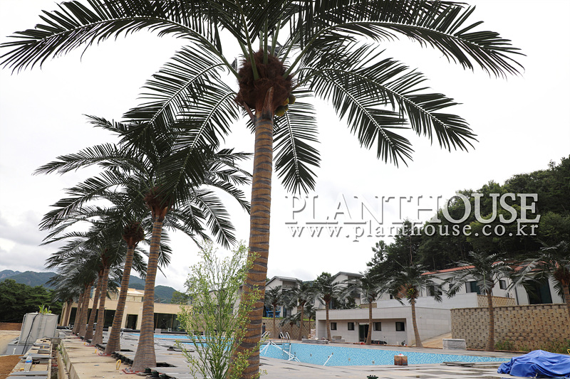 펜션 실외 조경 연출