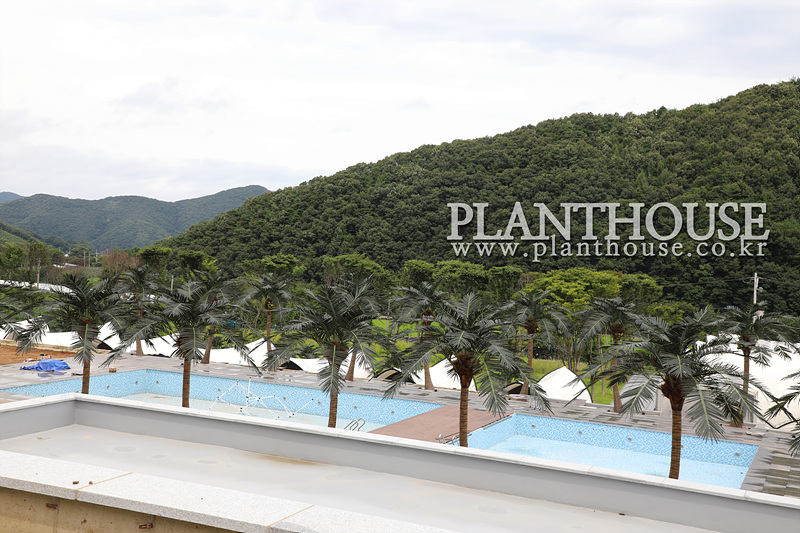 풀빌라 내 설치한 고급형 인조야자수