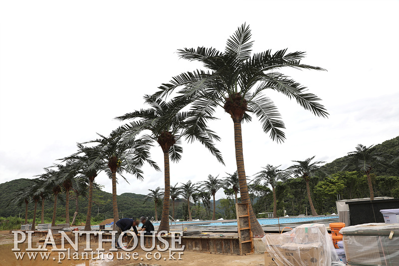 글램핑장에 설치한 고급형 인조야자수