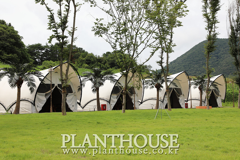 풀빌라에 설치한 인공야자수