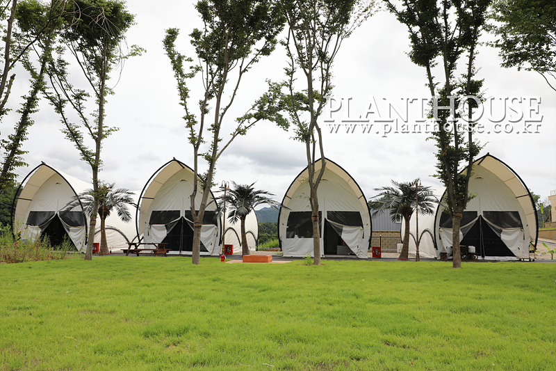 글램핑장에 설치한 인조야자수