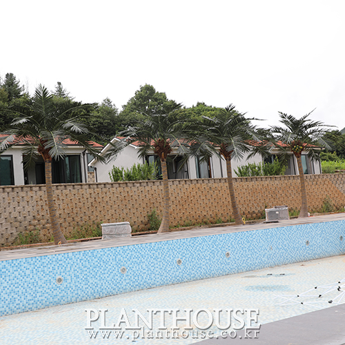 이미지 상세보기