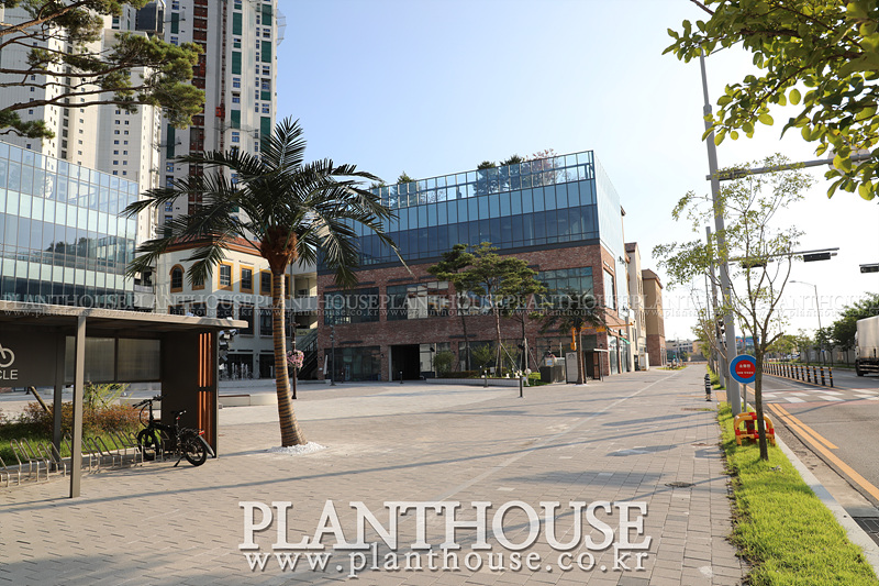 인공야자수 고급형