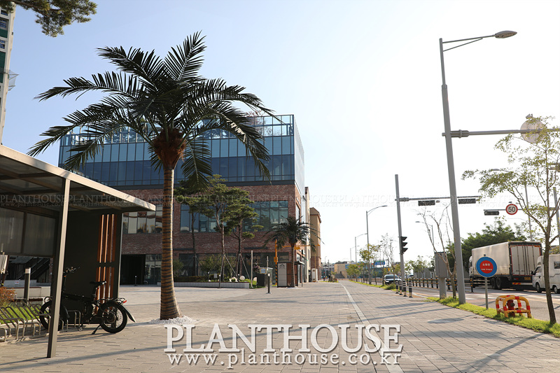 고급형 인공야자수