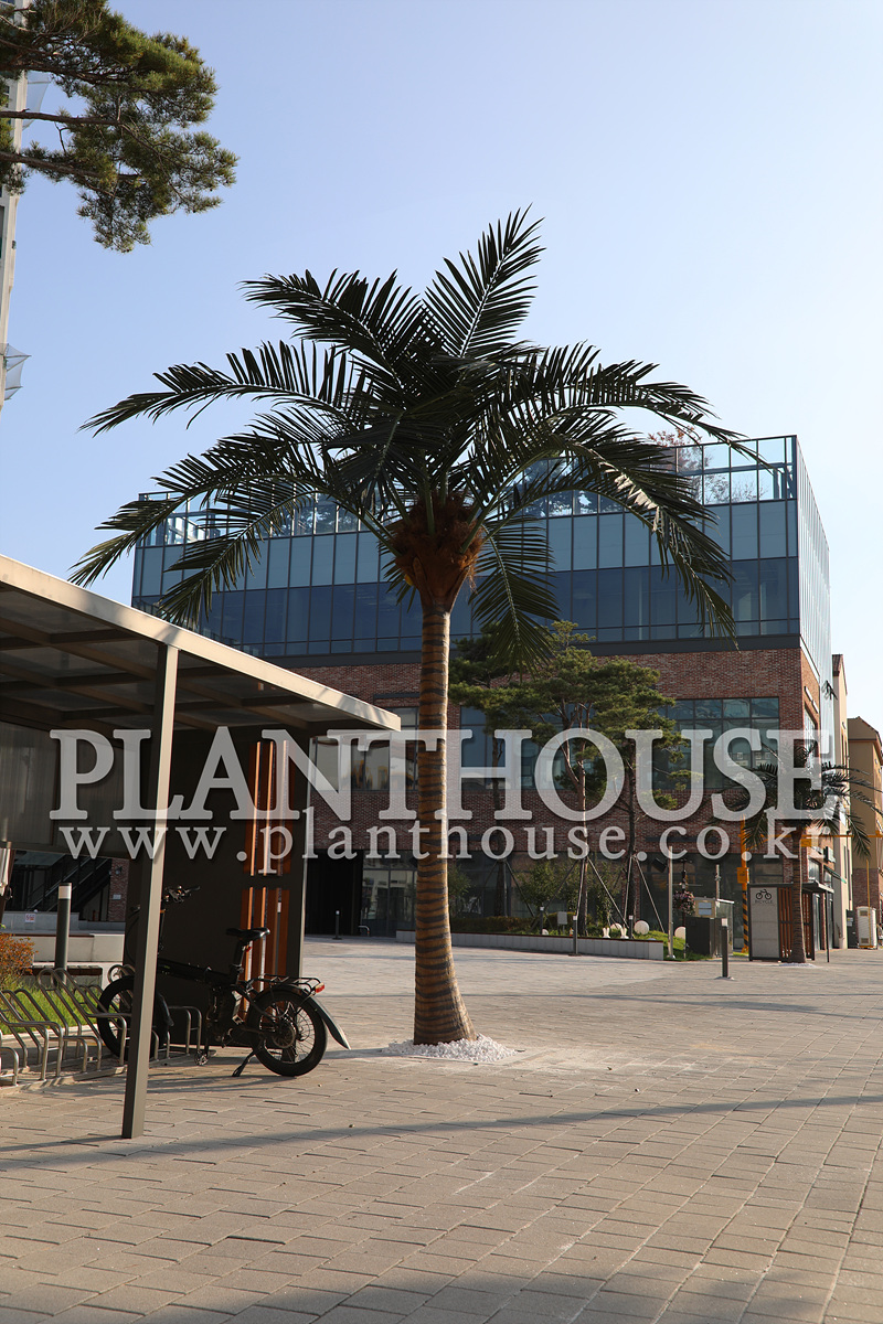 휴양지 분위기를 연출하는 인조야자수