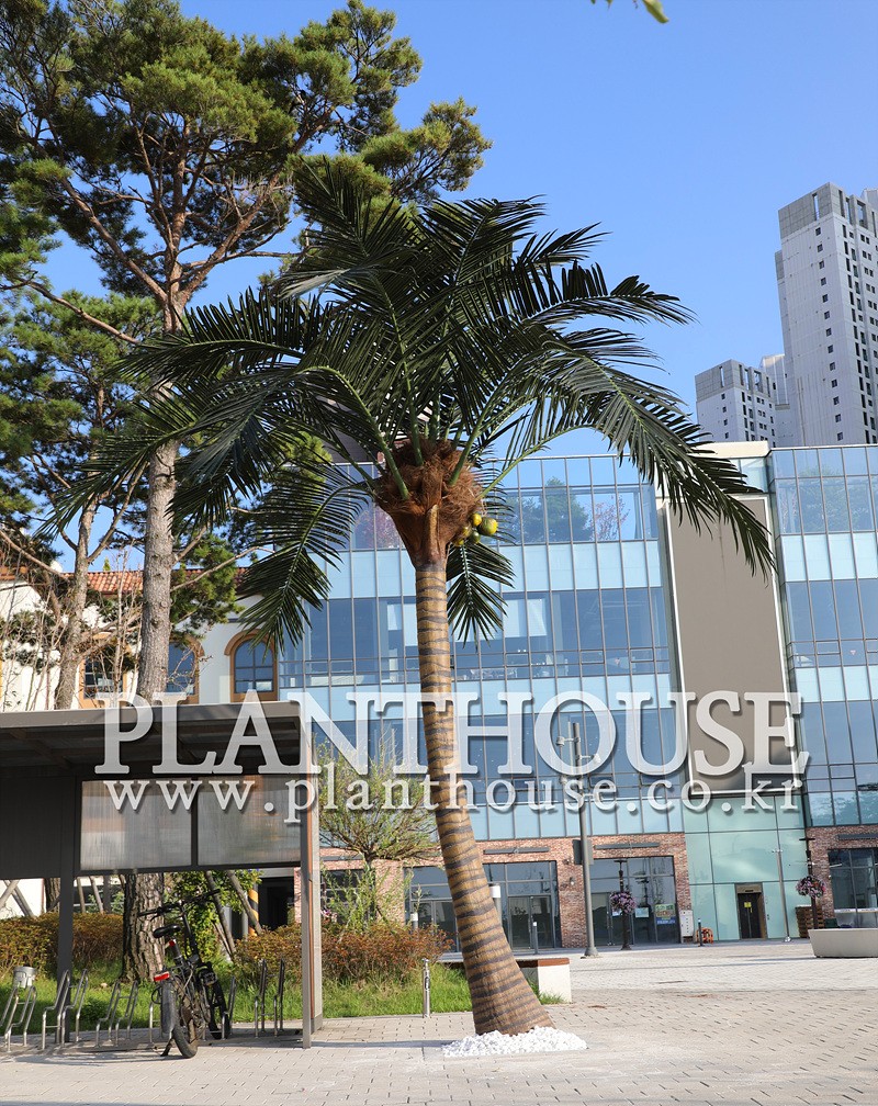 인조야자수 플랜테리어