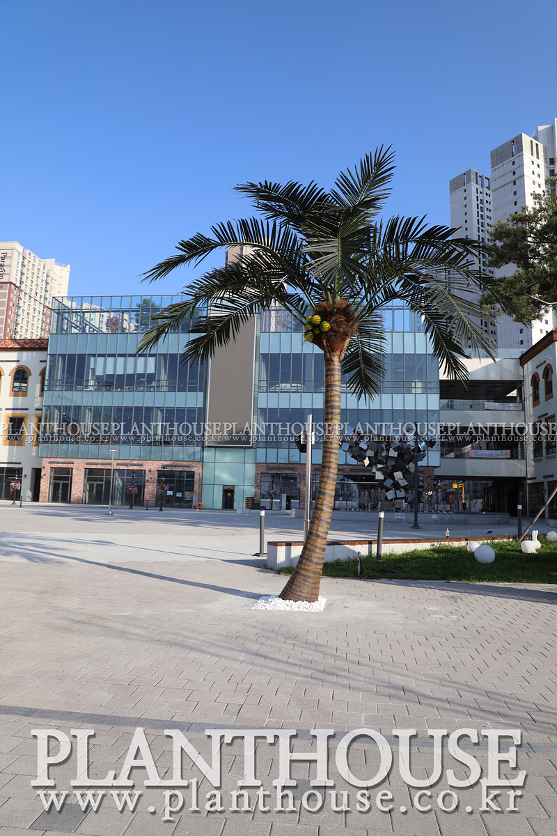 관공서 인조야자수 설치