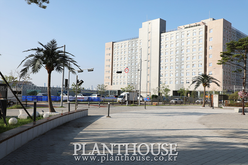 artificial palm tree