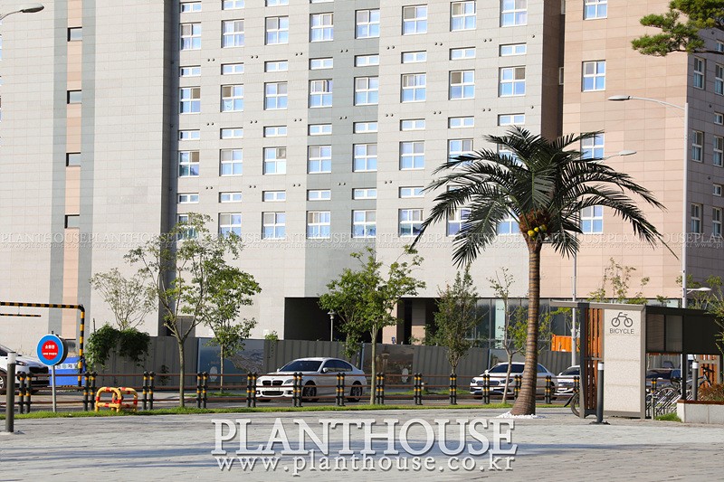 대형인조야자수