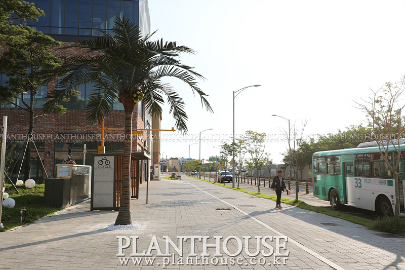 인공야자수 조경