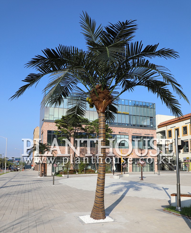 인조야자수 설치