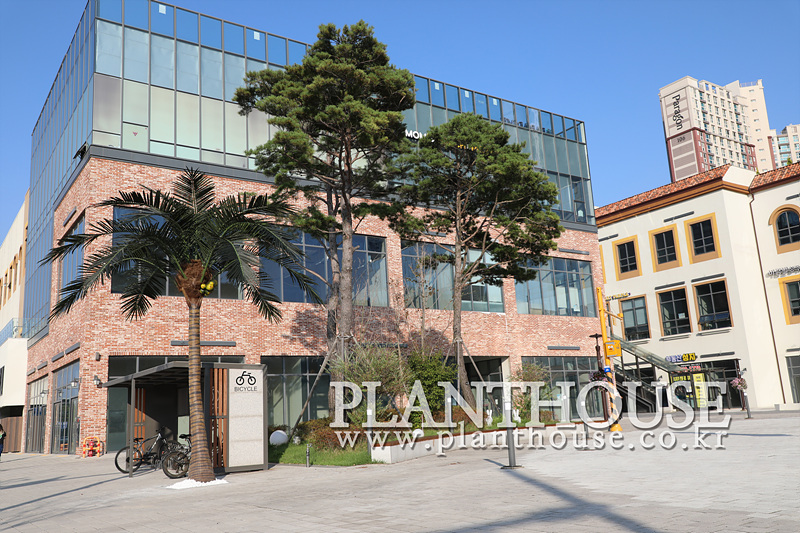 인공야자수 설치