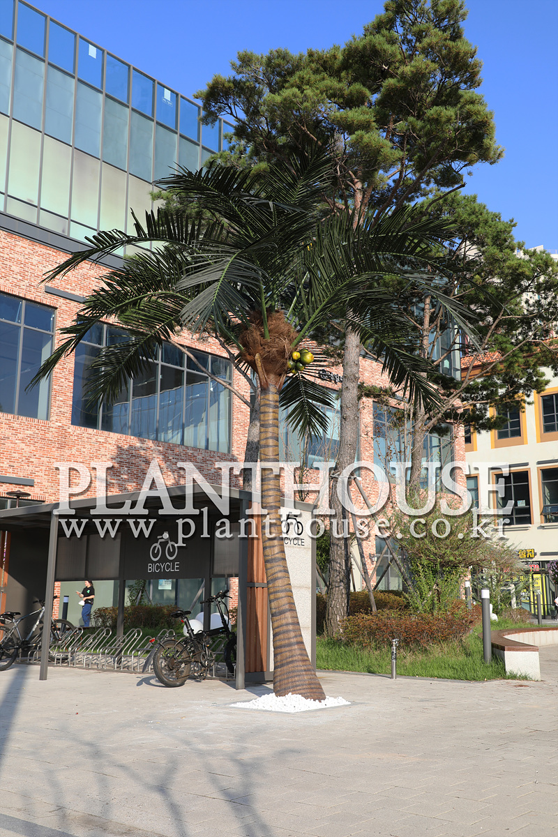 인조야자수 쇼핑몰 설치