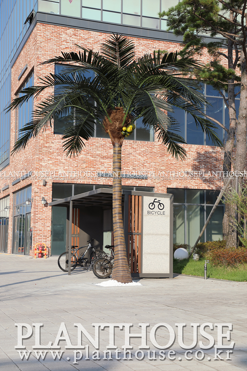 시화 쇼핑물 인조야자수