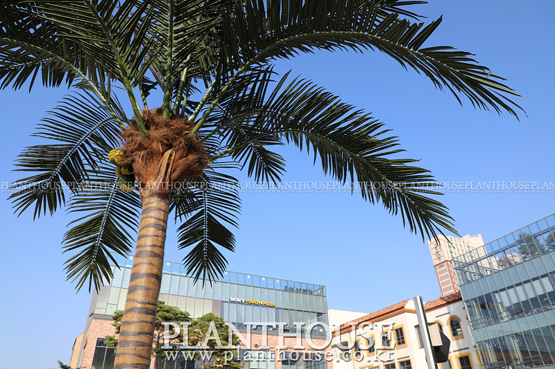 인조야자수 고급형