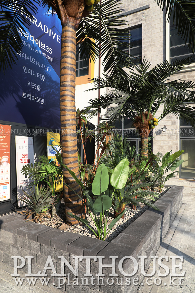인조야자수 플랜테리어