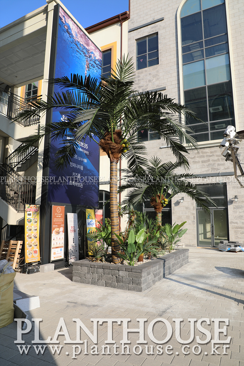 인조야자수 설치완료