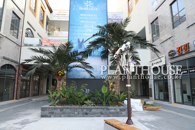 관공서 인조야자수 설치