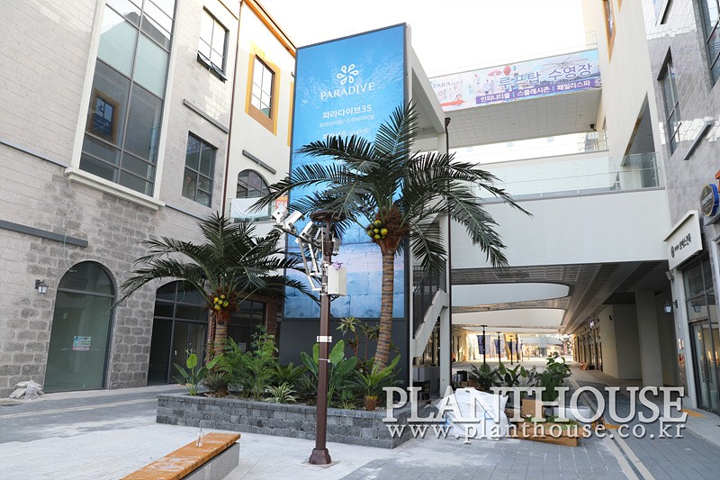 쇼핑몰 인조야자수