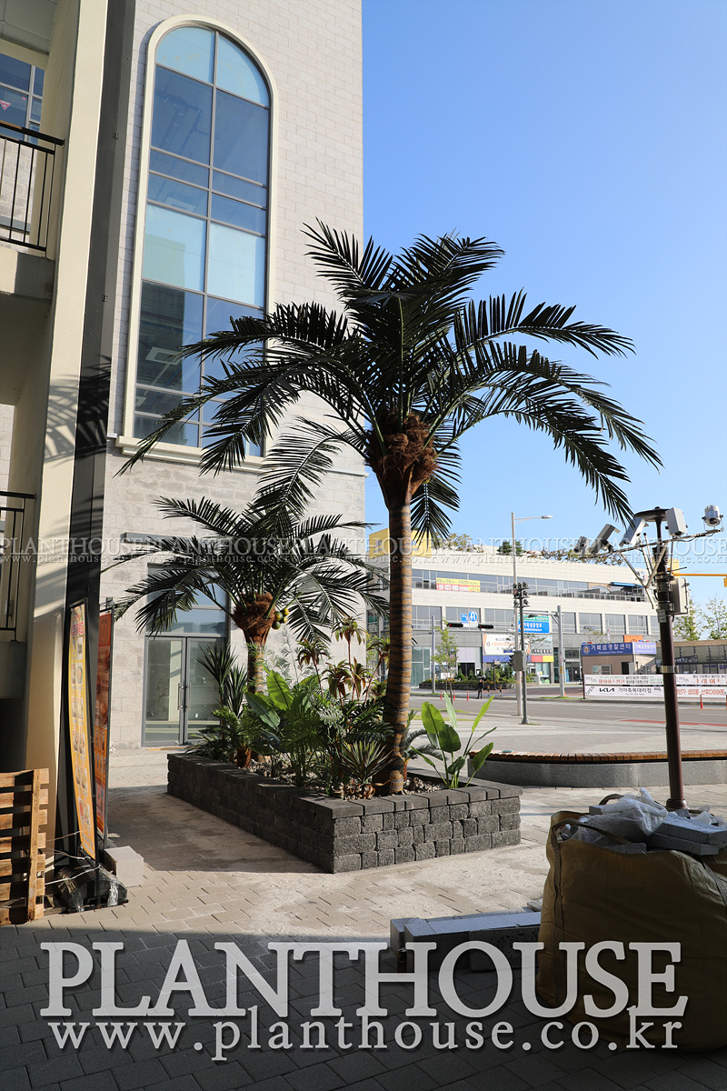 쇼핑몰 야자수 조경